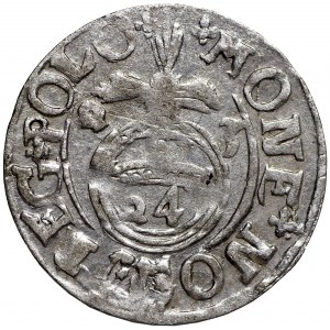 Zygmunt III Waza, Półtorak 1623 Bydgoszcz - krzyże w interpunkcji