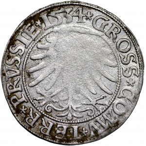 Zygmunt I Stary, Grosz pruski 1534 Toruń - PRVSS/PRVSSIE