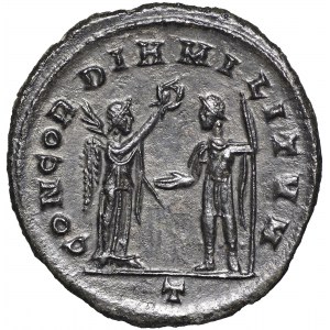 Roman Empire, Florianus, Antoninian Cyzicus