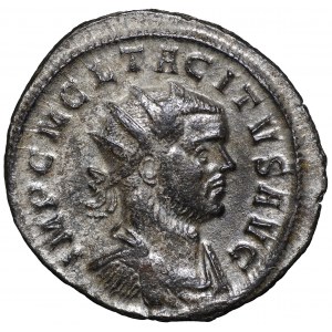 Roman Empire, Tacitus, Antoninian