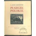 CUDA Polski. OSSENDOWSKI F. Antoni, Puszcze Polskie.