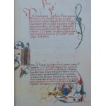 KODEKS Baltazara Behema Codex picturatus Balthasaris Behem