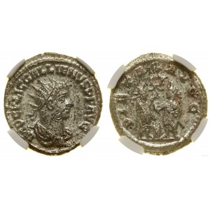 Cesarstwo Rzymskie, antoninian bilonowy, 255-256, mennica w Azji