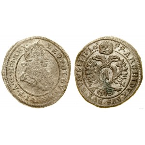 Slezsko, 1 krajcar, 1699 FN, Opole