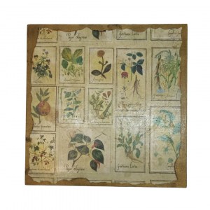 Wooden box with herbarium motif