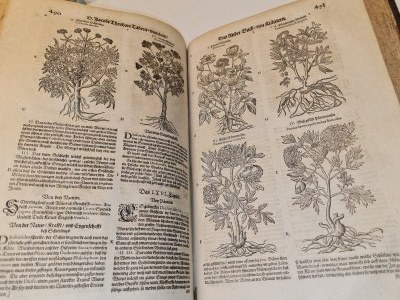 Tabernaemontanus, Jacobus Theodorus ZIELNIK 1613 - 1300 rycin, folio.