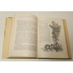 MONTGOMERY Lucy Maud - ANIA Z ZIELONEGO WZGÓRZA Ilustracje ZIELENIEC