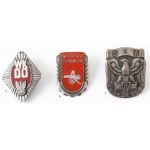99 LWP BADGES