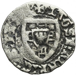 Deutscher Orden, Heinrich I. von Plauen 1410-1414, die Shelburne