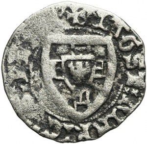 Teutonic Order, Henry I von Plauen 1410-1414, the Shelburne