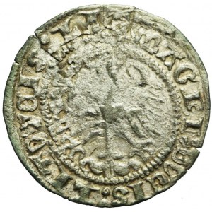 Sigismund I the Old, Half-penny 1512, Vilnius