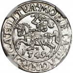 Žigmund II August, polgroš 1549, Vilnius, mincovňa, malá naháňačka, jednoduchý štít