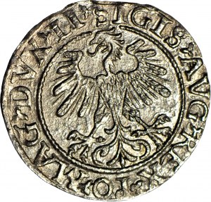 Sigismund II Augustus, Half-penny 1560, Vilnius, Li/LITVA