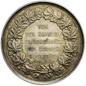 Liwonia, Medal w srebrze, Piotr Henryk von Blankenhagen