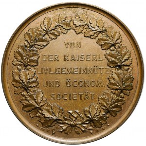 Liwonia, Medal w brązie, Piotr Henryk von Blankenhagen