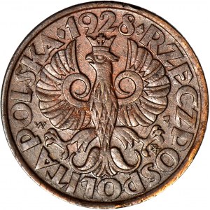 5 pennies 1928, beautiful