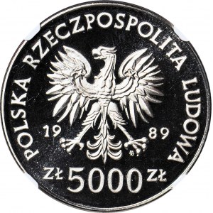 5000 Gold 1989, Monuments of Toruń, NIKIEL SAMPLE