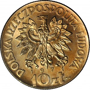 10 złotych 1971, FAO, dziecko, miedzionikiel, PRÓBA, mennicze