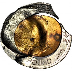 Egypt £1, 2010, Tutankhamon, DELETED DESTRUCTORY