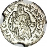 Hungary, Ladislaus II Jagiellonian, Denarius, 1508 KB, Kremnica,mintage