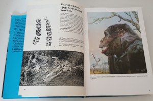 JELINEK Jan - WIELKI ATLAS PRAHOSTORIA CZŁOWIEKA