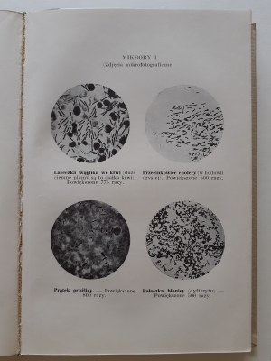 KRUIF Pawel - MIKROBES HUNTERS s 18 ilustracemi Bibljoteka Wiedzy Volume 4