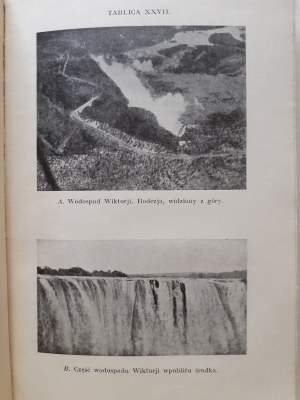 I falchi Ellison - La fauna selvatica dell'aria e dell'acqua con 24 disegni e 59 illustrazioni su 30 tavole Bibljoteka Wiedzy Volume 19