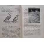 GOLDSCHMIDT R. - INTRODUCTION A LA SCIENCE DE LA VIE avec 161 illustrations Bibljoteka Wiedzy Vol. 25