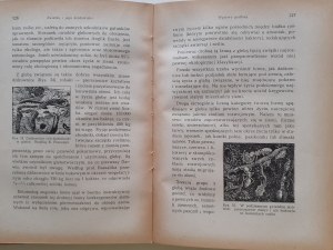 DEMEL Kazimierz - ZVÍŘE A JEHO PROSTŘEDÍ (Úvod do ekologie zvířat) se 162 ilustracemi Biblioteka Wiedzy Volume 50