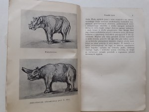 WELLS H.G. - GESCHICHTE DER WELT mit 40 Abbildungen und 10 Karten Bibljoteka Wiedzy Vol. 14