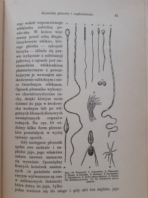 GOLDSCHMIDT R. - LA SCIENCE DES DAUGHTERS avec 50 illustrations Bibljoteka Wiedzy Vol. 38