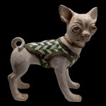 STUDIO IDA - chihuahua