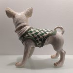 STUDIO IDA - chihuahua