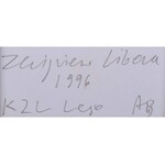 Zbigniew Libera (Ur. 1959 Pabianice), Sterty protez, z cyklu: Lego. Obóz koncentracyjny
