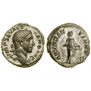 Roman Empire, denarius, 228-231, Rome