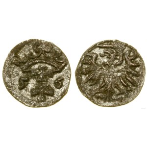 Poland, denarius, 1556, Gdansk