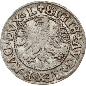 Lithuania Polgrosz 1546 Vilnius