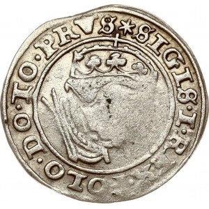 Poland Grosz 1540 Gdansk