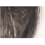 Magdalena Abakanowicz (1930 Falenty near Warsaw - 2017 Warsaw), Head from the series Faces, 1983