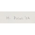 Matylda Polak (ur. 1995, Bielsko-Biała), Przepływy 018_01 018_02, dyptyk, 2024