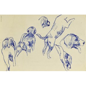 Ludwik MACIĄG (1920-2007), Skizzen eines Hundes