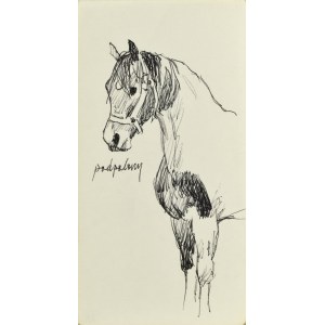 Ludwik MACIĄG (1920-2007), Horse