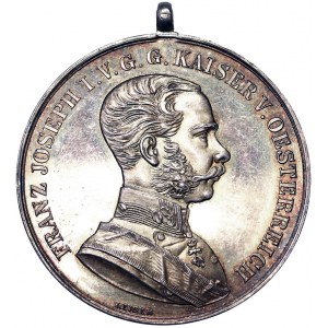 Franz Joseph I (1848-1916), Medal 1880