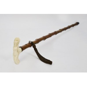 Walking stick with a bone handle
