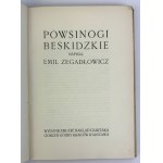 ZEGADŁOWICZ Emil - Powsinogi Beskidzkie - Nawiedzeni - Kraków 1925 [peintures de couverture de Tytus Czyżewski + reliure de Robert Jahoda] RRR !