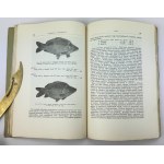STAFF Franciszek - Freshwater fishes of Poland and neighboring countries - Warsaw 1950