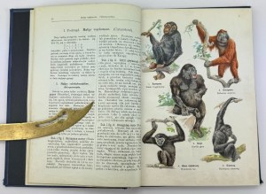 LAMPERT Kurt - Atlas des Tierstaats - Warschau um 1925