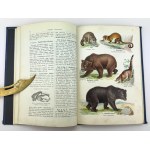 LAMPERT Kurt - Atlas de l'état animal - Varsovie vers 1925