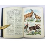 LAMPERT Kurt - Atlas stavu zvierat - Varšava cca 1925