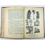 BRZEZIŃSKI Mieczysław - Plants, animals and people on the globe - Warsaw 1907